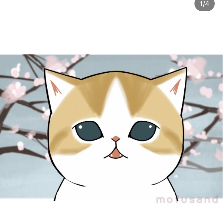 Instagram video 1
