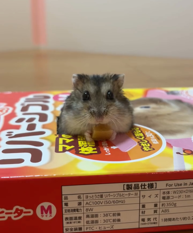Instagram video 5