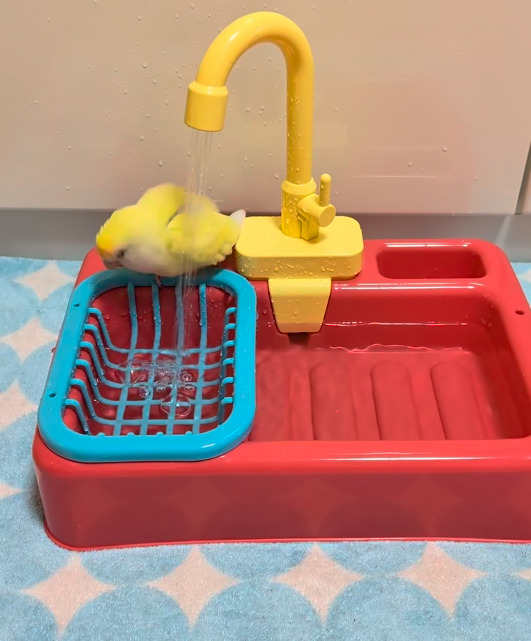 Instagram video 6
